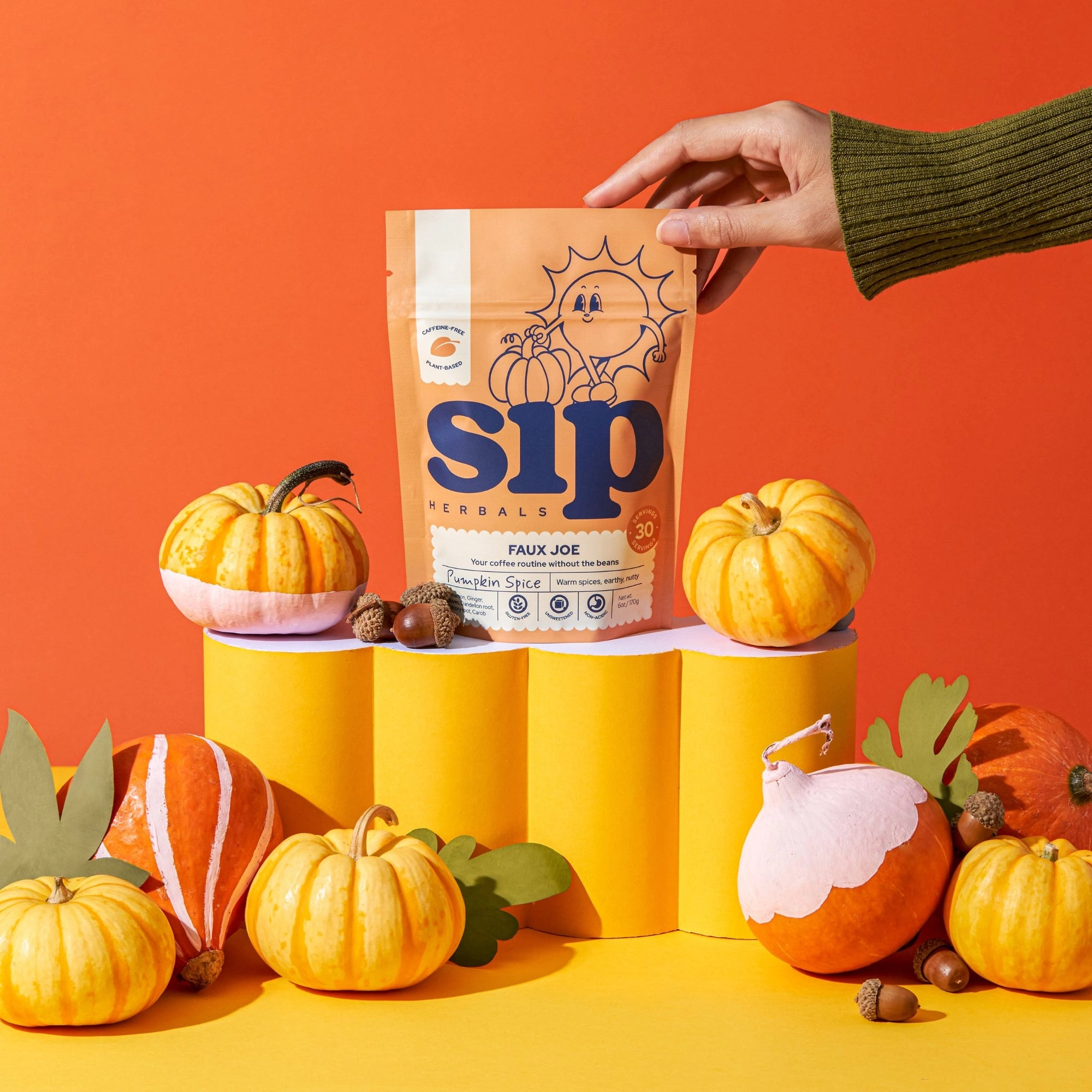 Sip Herbals Pumpkin Spice bag among small pumpkins on an orange backdrop